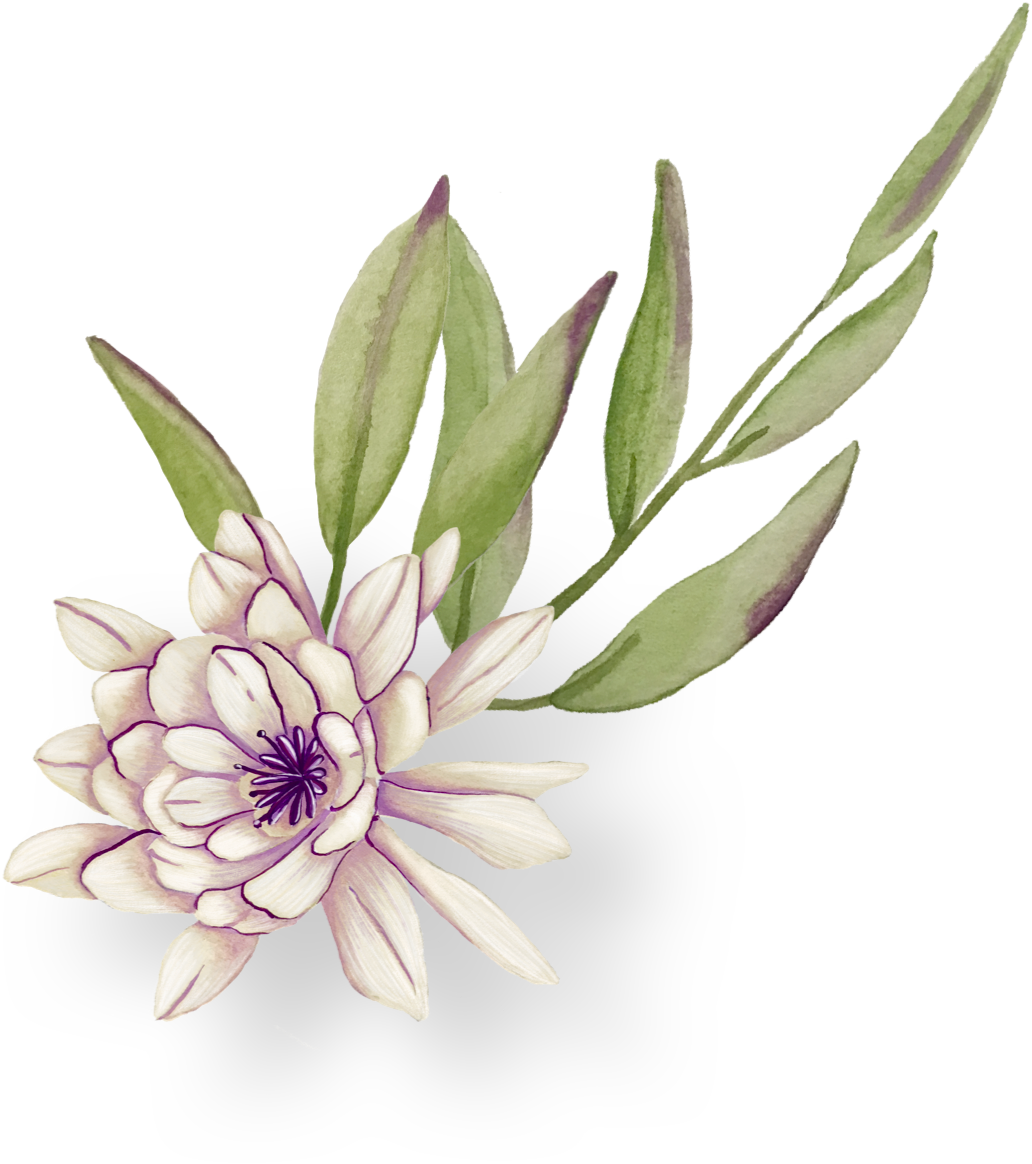 La vie Brasil elemento decorativo