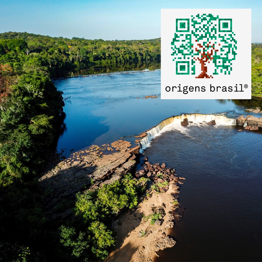 foto de uma cozinhira e a logo da organização aldeia do futuro