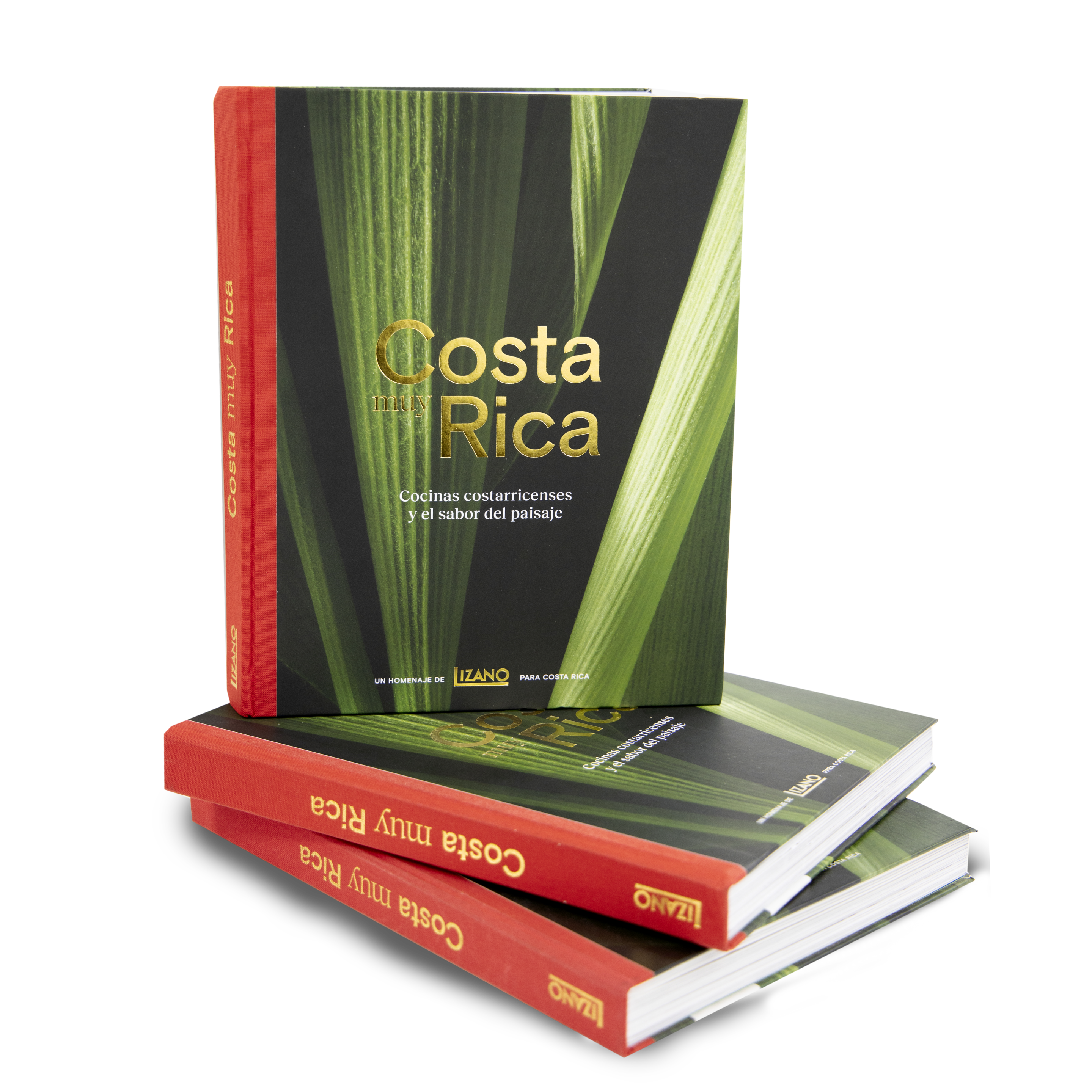 Costa muy Rica