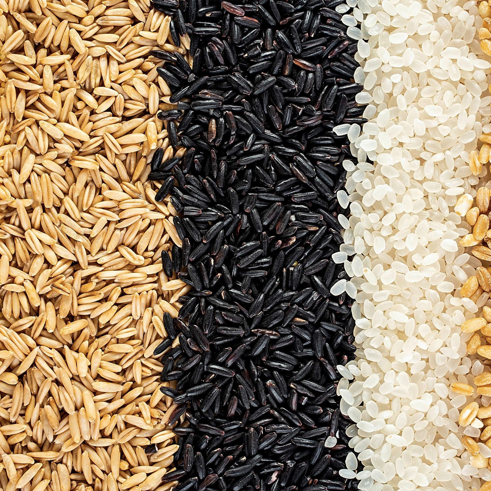 types of autumn harvest grain