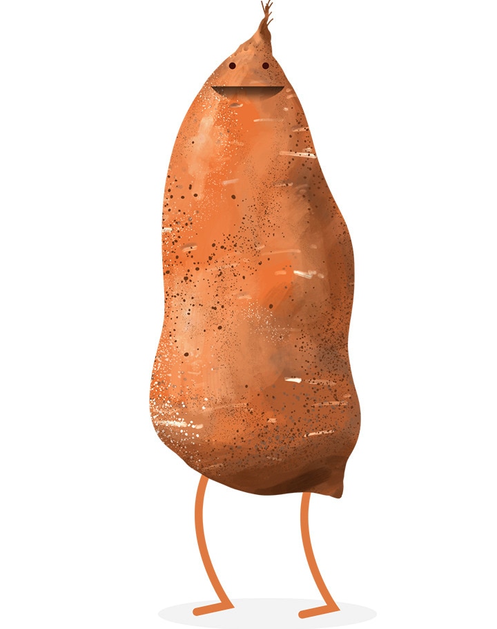 Illustration of a sweet potato