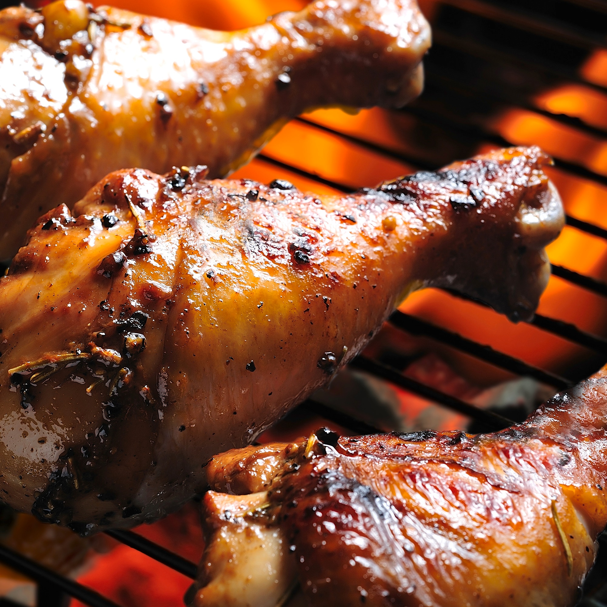 Wood coals with a golden spatchcock chicken searing upon them