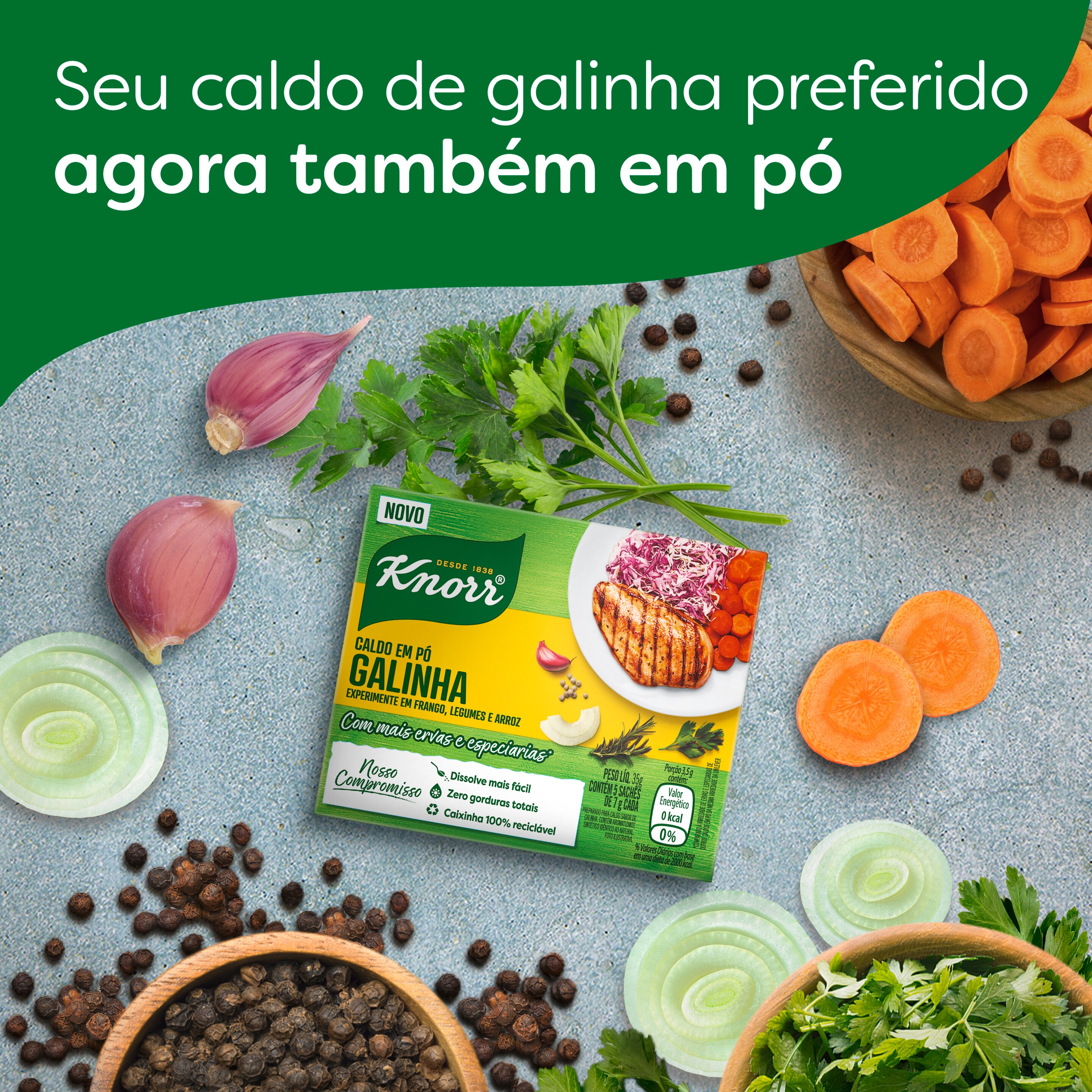 Caldo em Pó Knorr Galinha