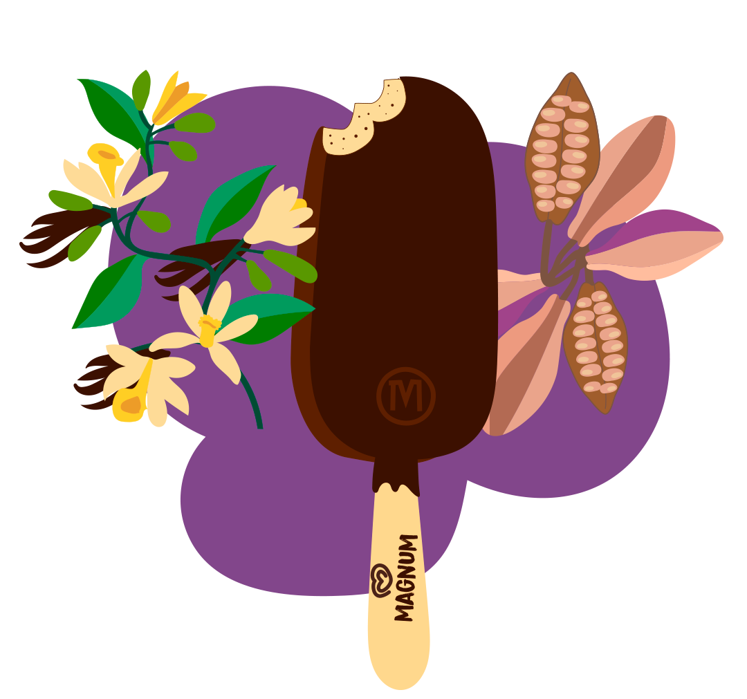 Illustration av en Magnum-glass omgiven av vaniljblommor och kakaofrukter ovanpå en lila färgklick