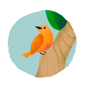 Illustration av en fågel på en trädgren intill ett Magnum-format hål i trädstammen