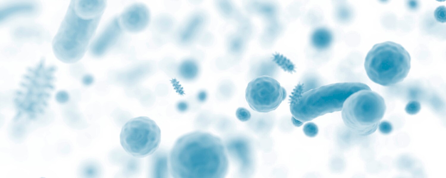 ลักษณะของสิวอุดตันและสิวอักเสบแบบต่างๆ