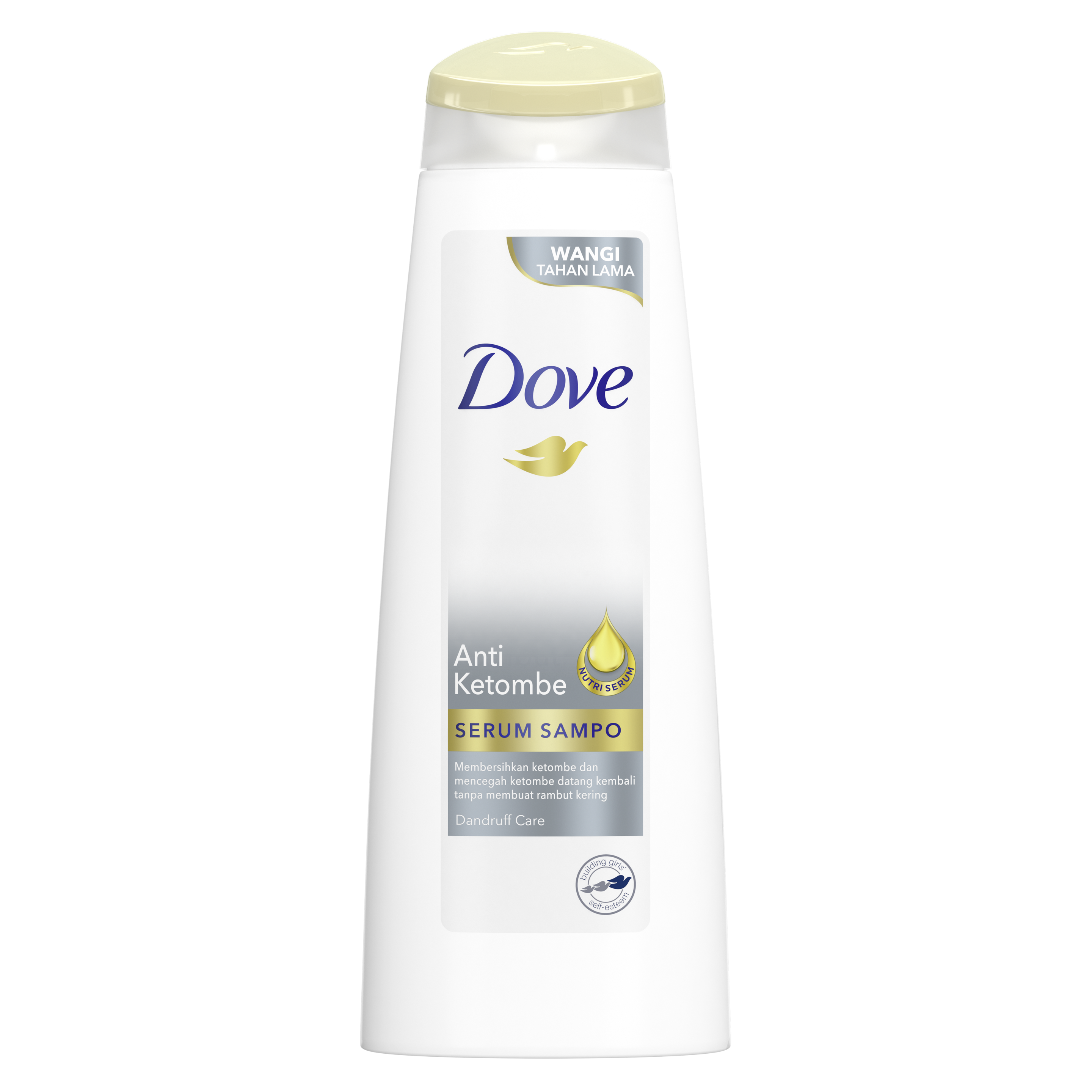 DOVE Shampoo Anti Ketombe 12X290ML