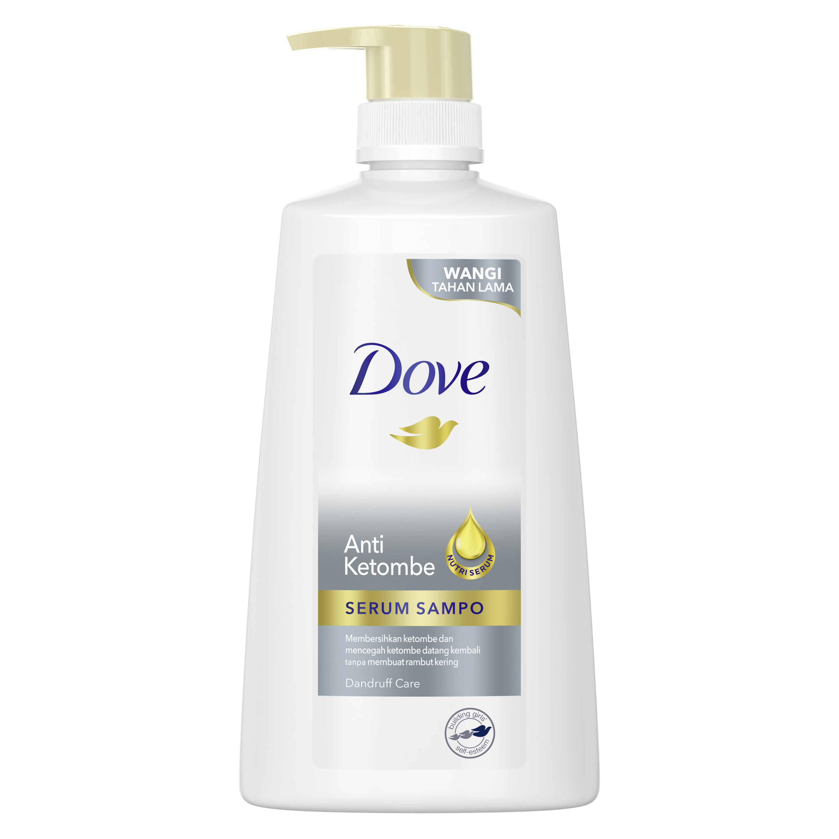 DOVE Shampoo Anti Ketombe 6X680ML