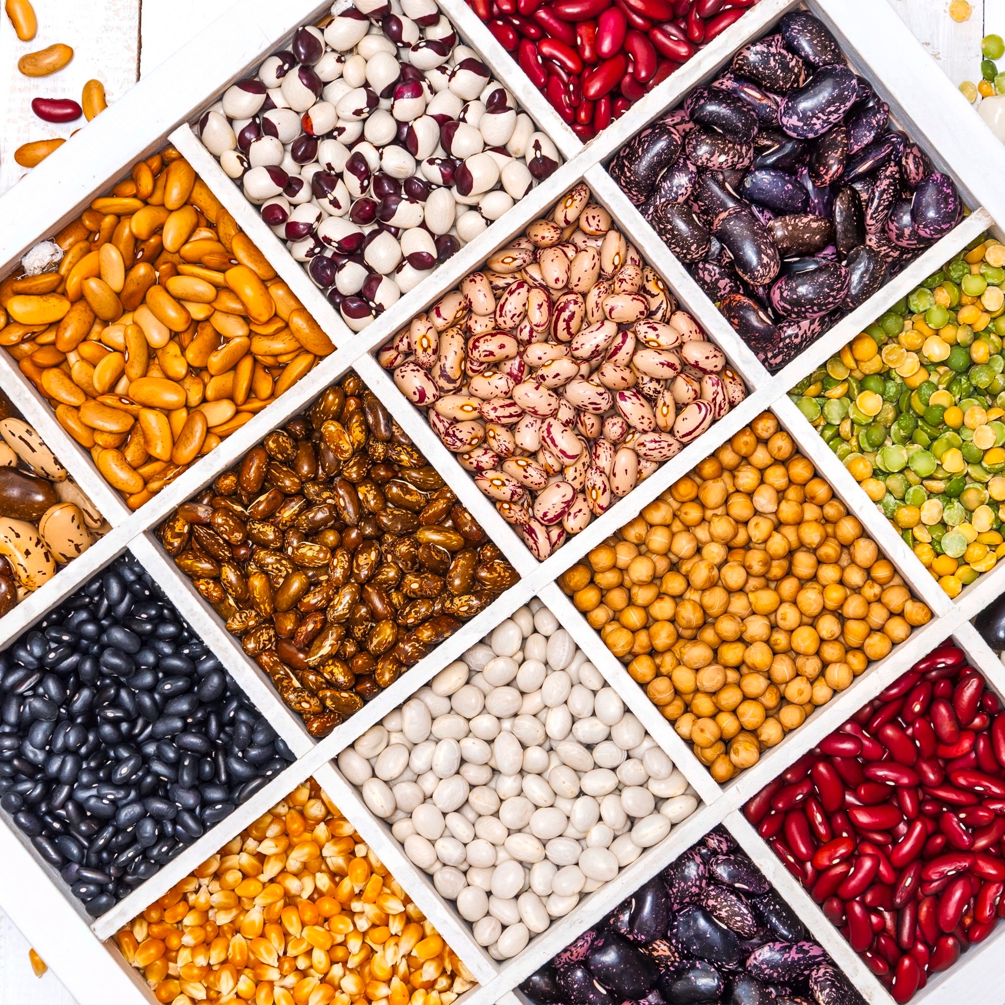 Different legumes and pulses