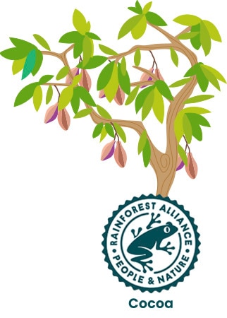 Kuva kaakaopuusta ja Rainforest Alliance Certified -logosta Text