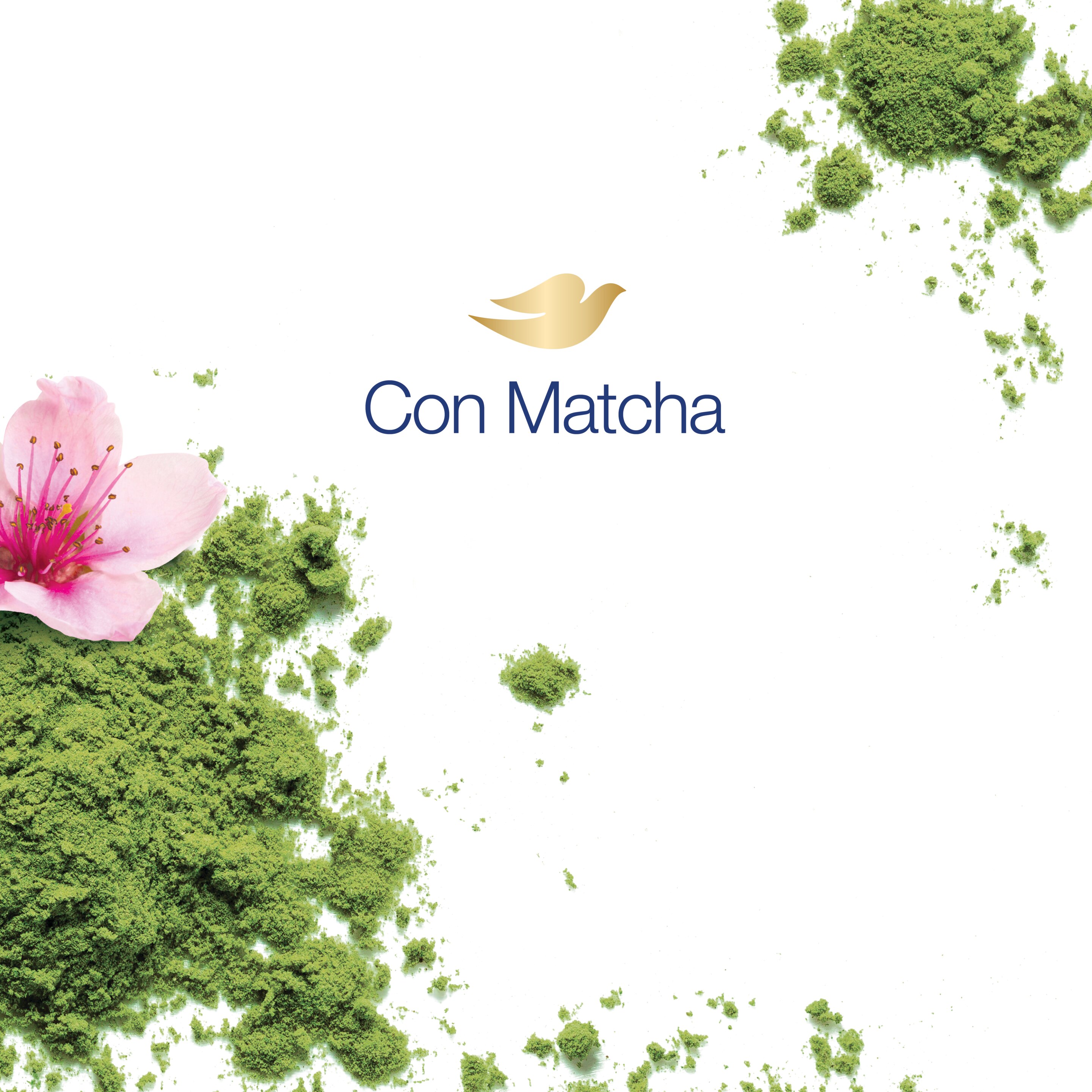 Product page