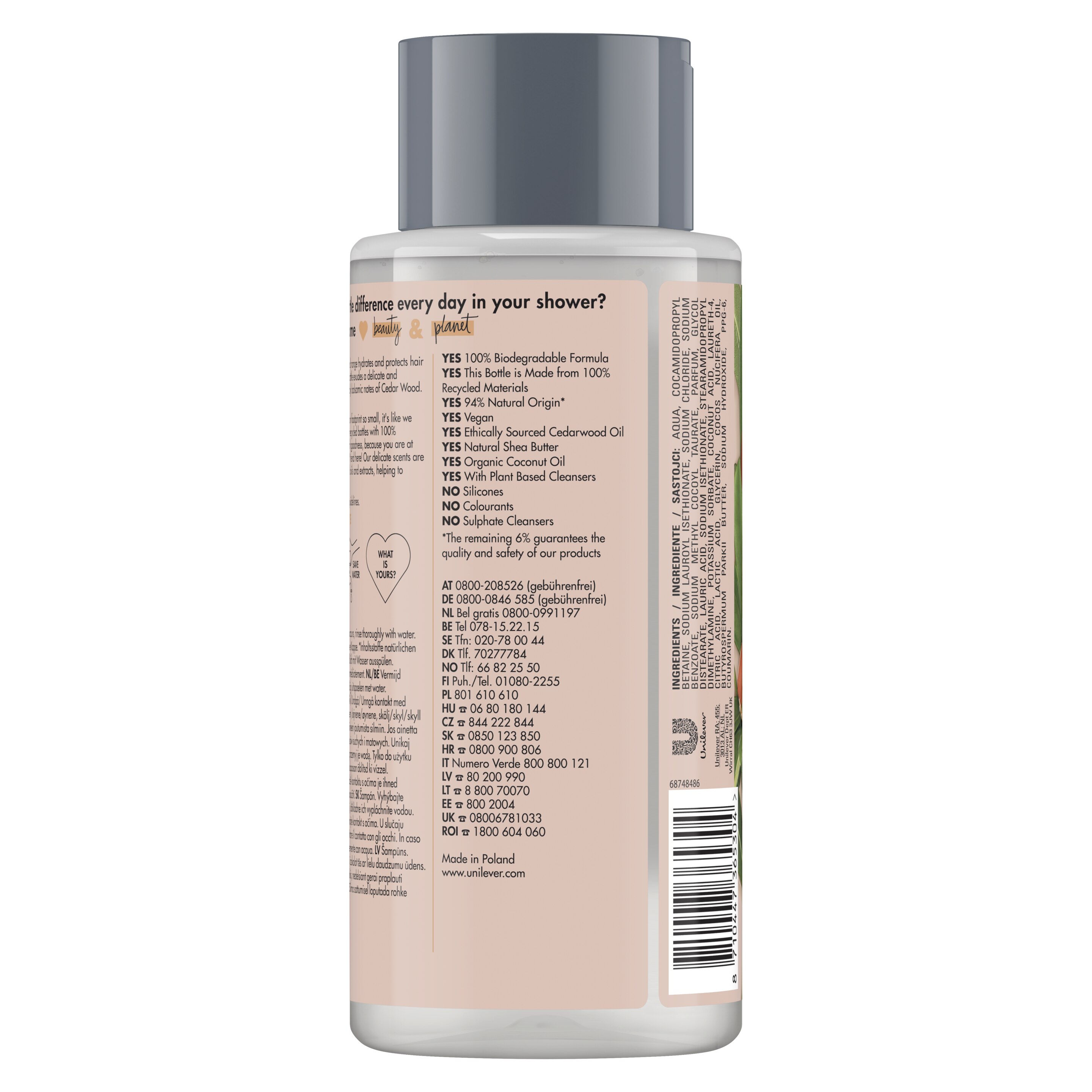 shea butter & cedar wood shampoo