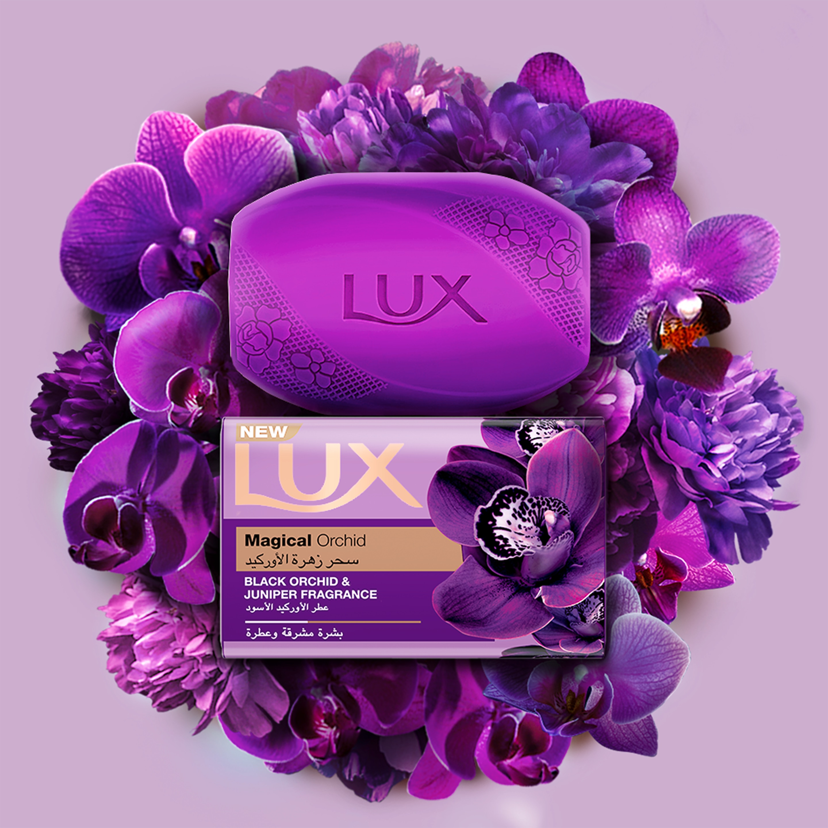 Lux Bar Magical Orchid SP1