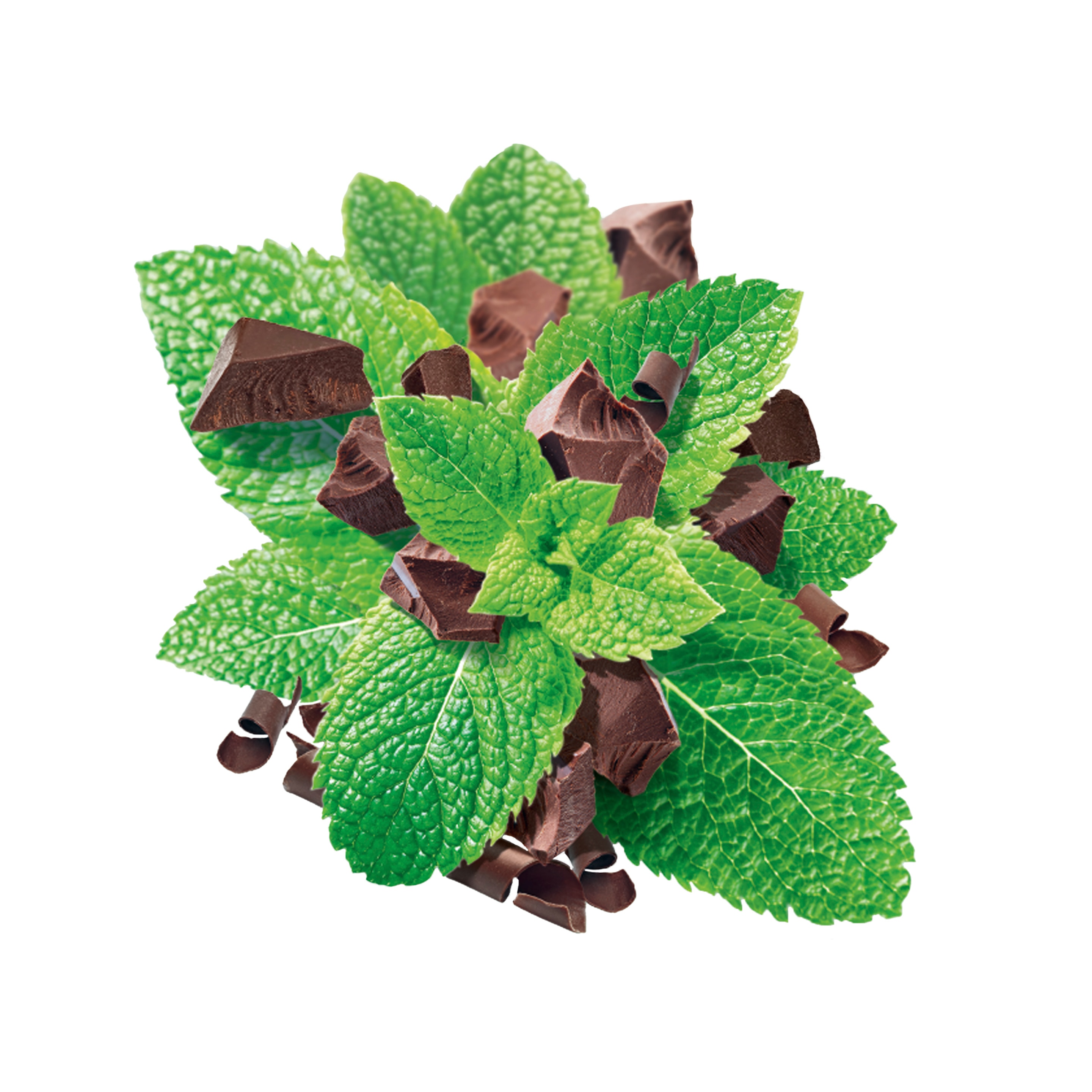 For our Mint Chocolate we source dark chocolate curls made with Rainforest Alliance Certified cocoa from Ghana