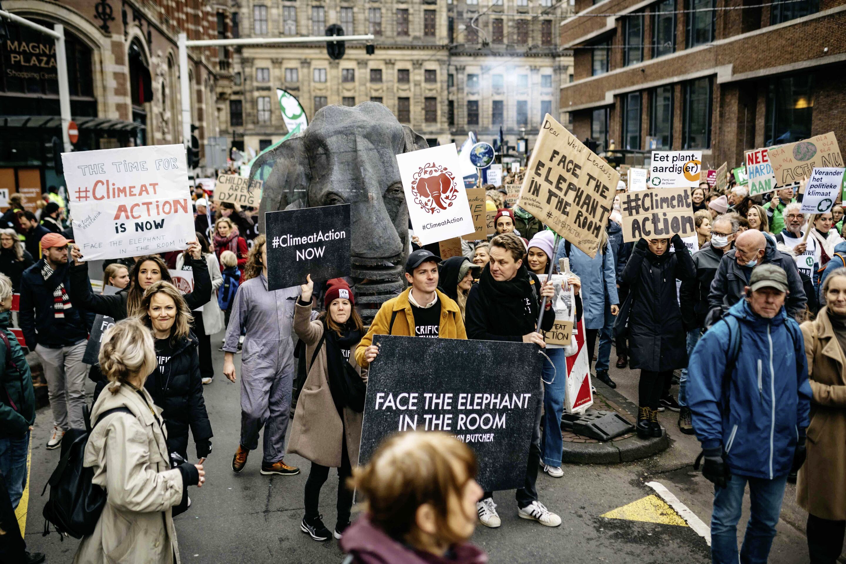 Crowd demonstrating against climate change