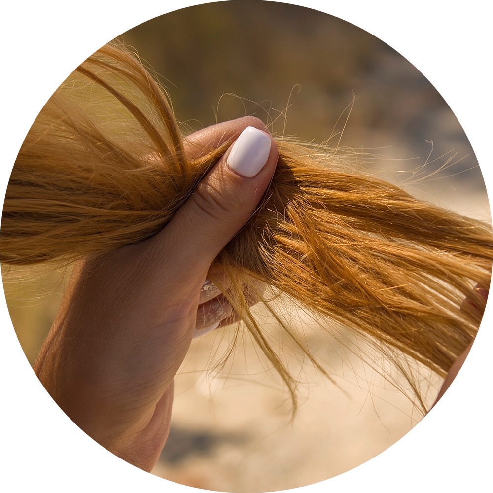 Cabello quebrado / puntas abiertas