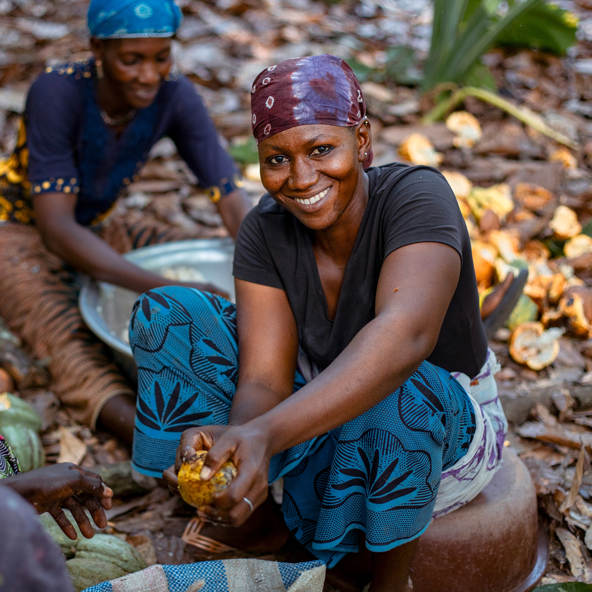 Gruppe lächelender Frauen aus der Kakaoanbaugemeinschaft, sitzend auf einer Plantage