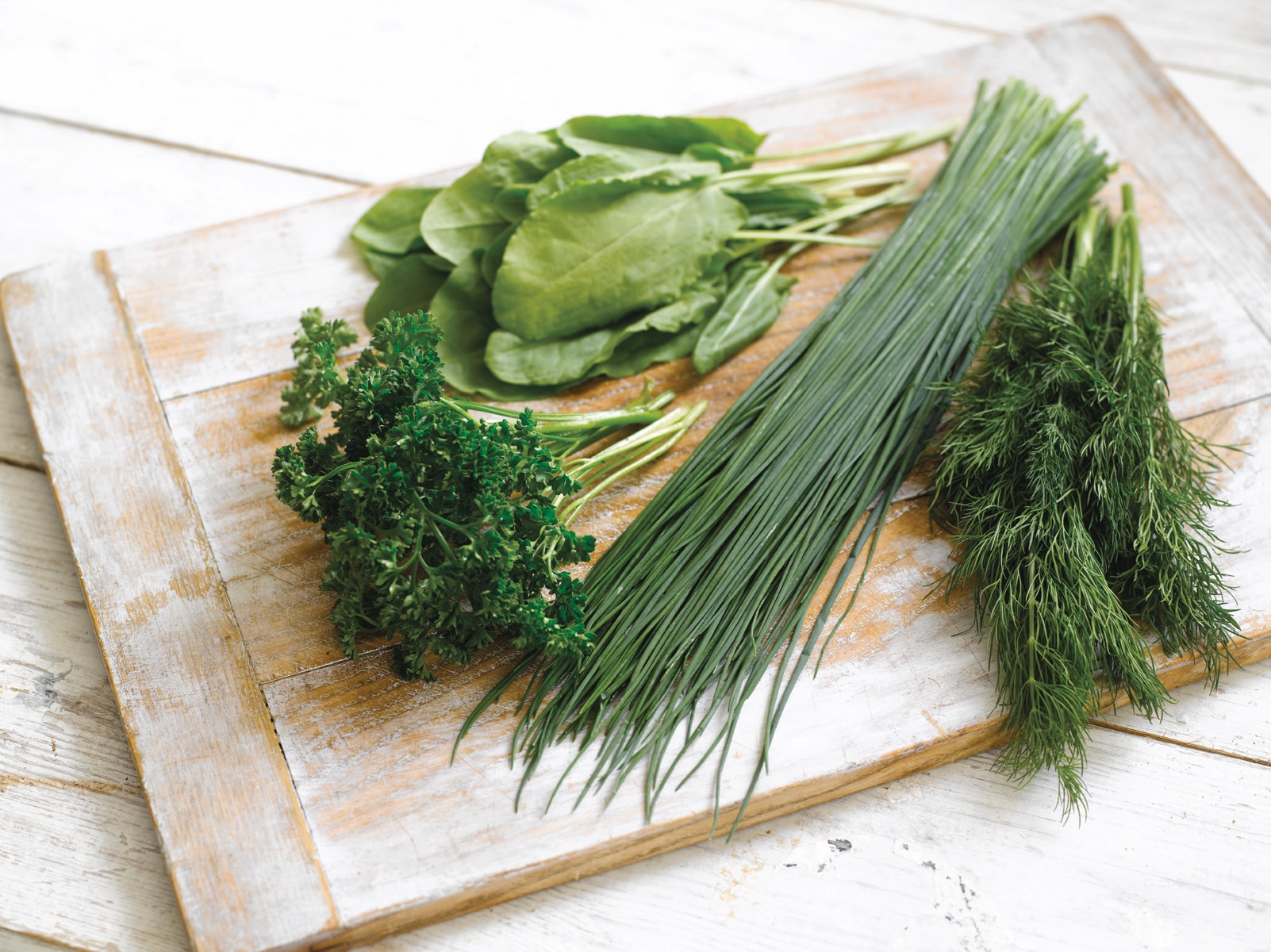 Knorr recipe herbs