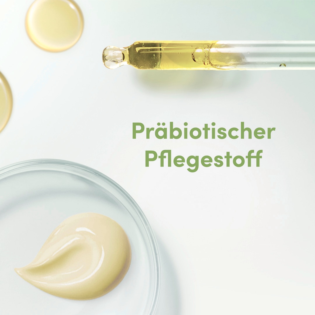 Präbiotischer Pflegestoff
