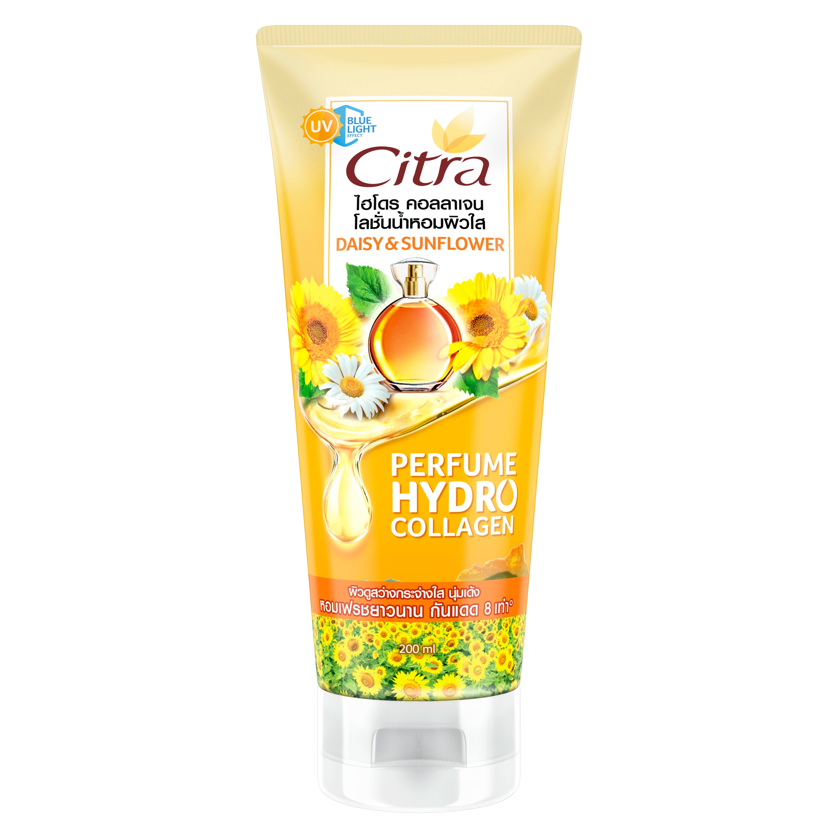 Citra Hydro Collagen Perfume Lotion Daisy and Sunflower packshot