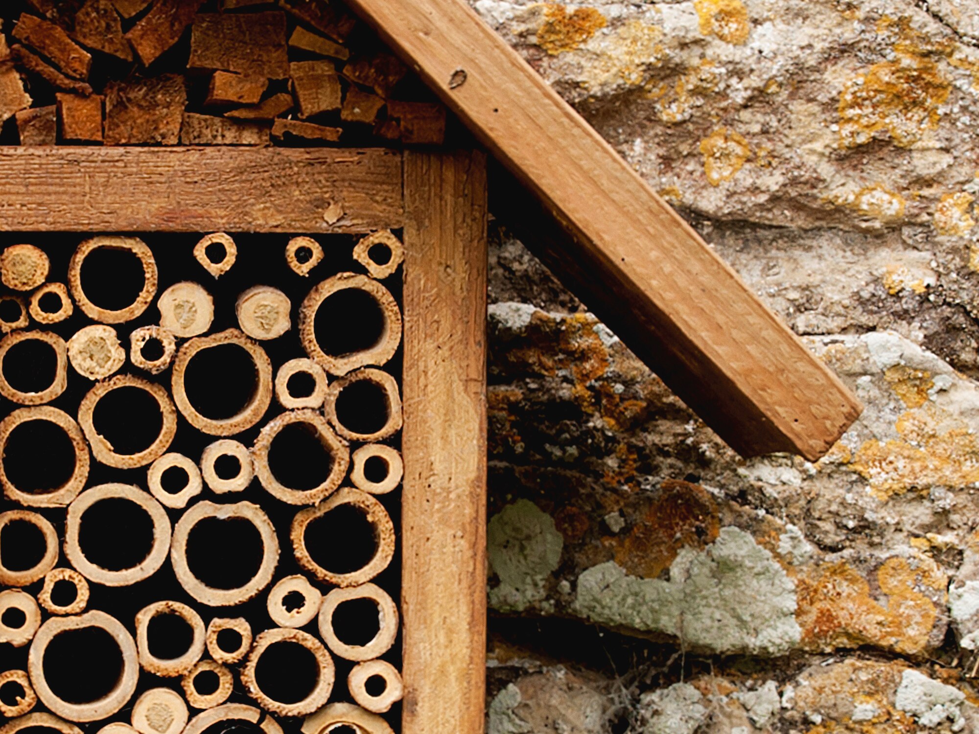 The Concierge of a bee hotel