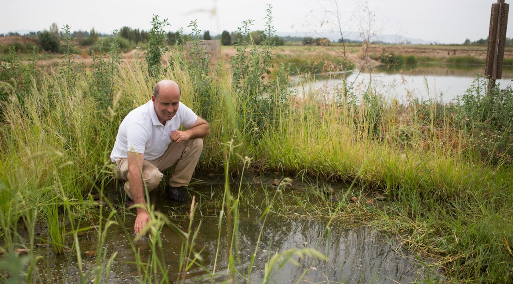 A farmer infront of a small pond for wildlife