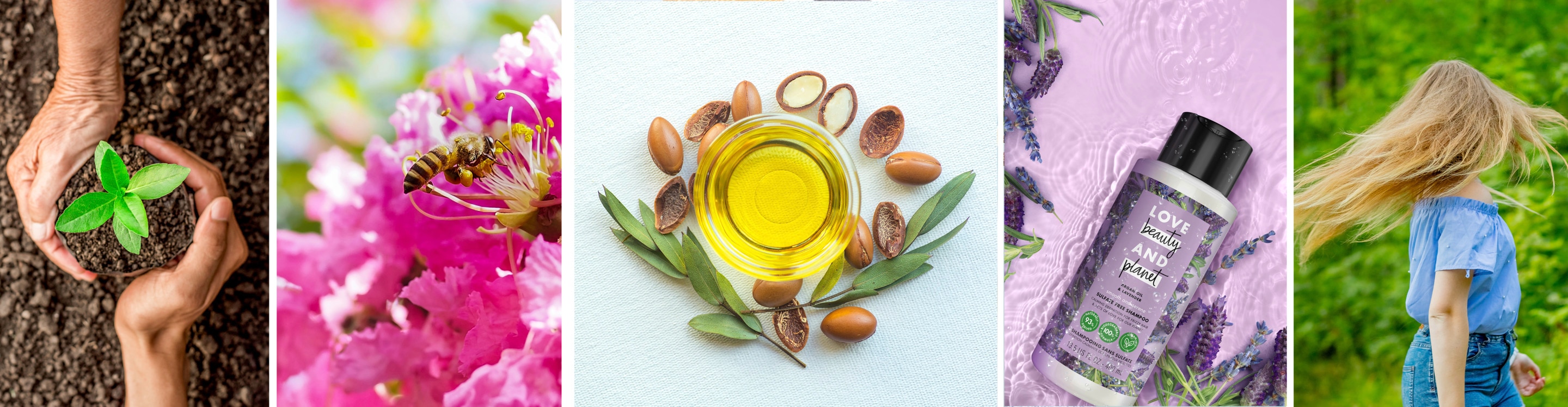 Why argan oil is a hero product