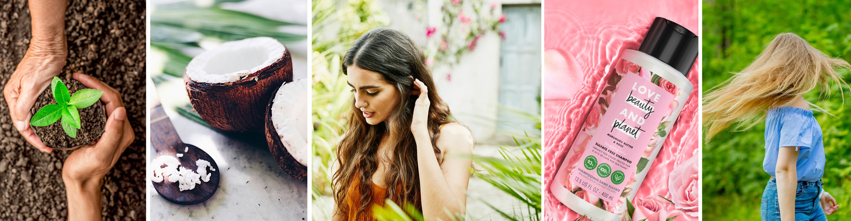 5 of the best natural ingredients for a dry scalp