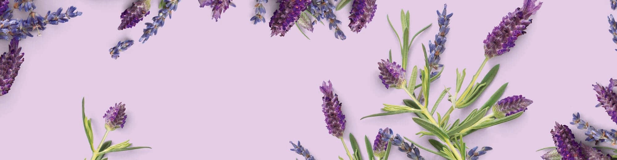 argan oil lavender
