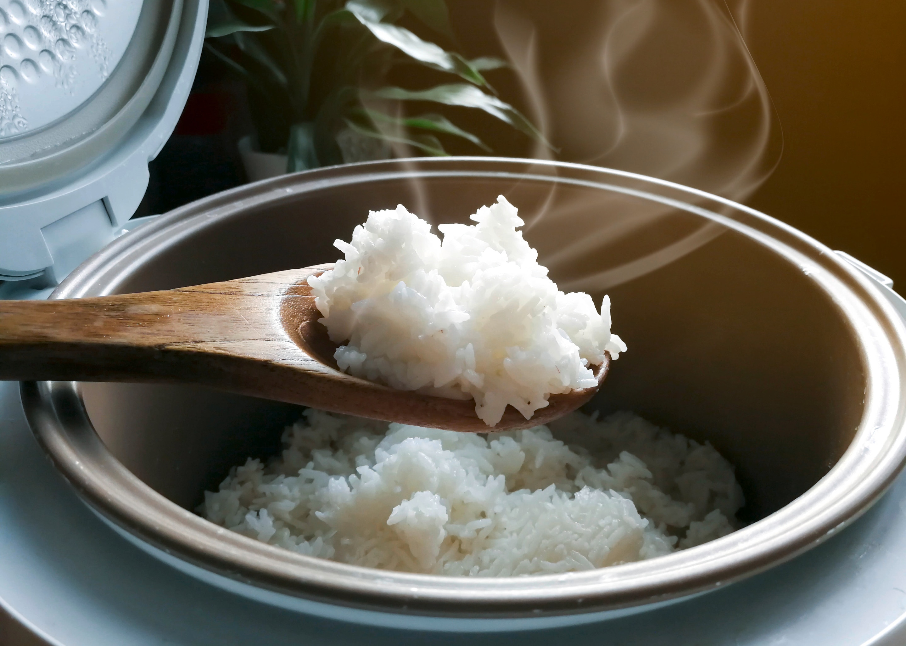 Steaming, cooked rice scooped out of rice cooker with a wooden spoon