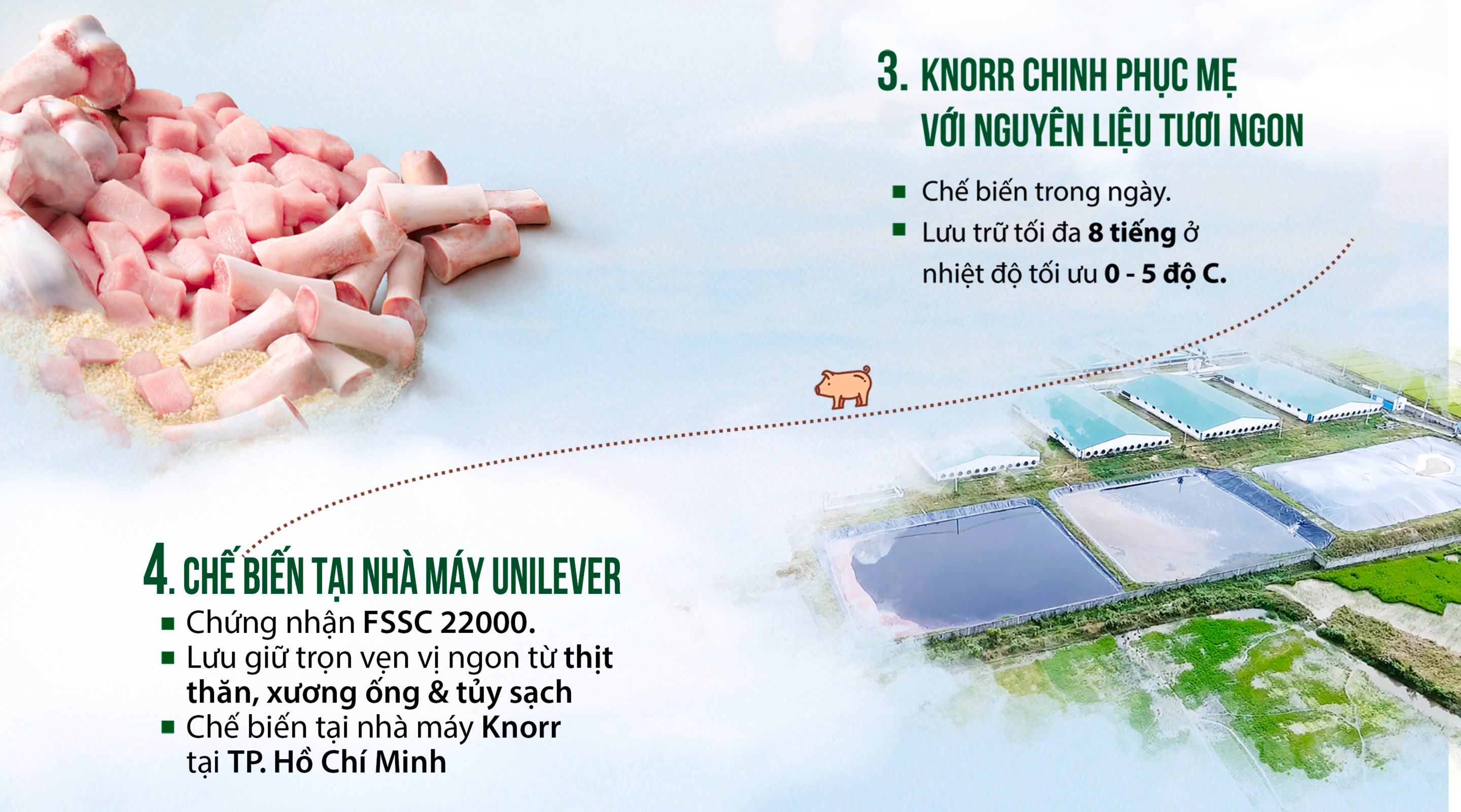 Nong Trai Heo Sach Chuan Vietgap