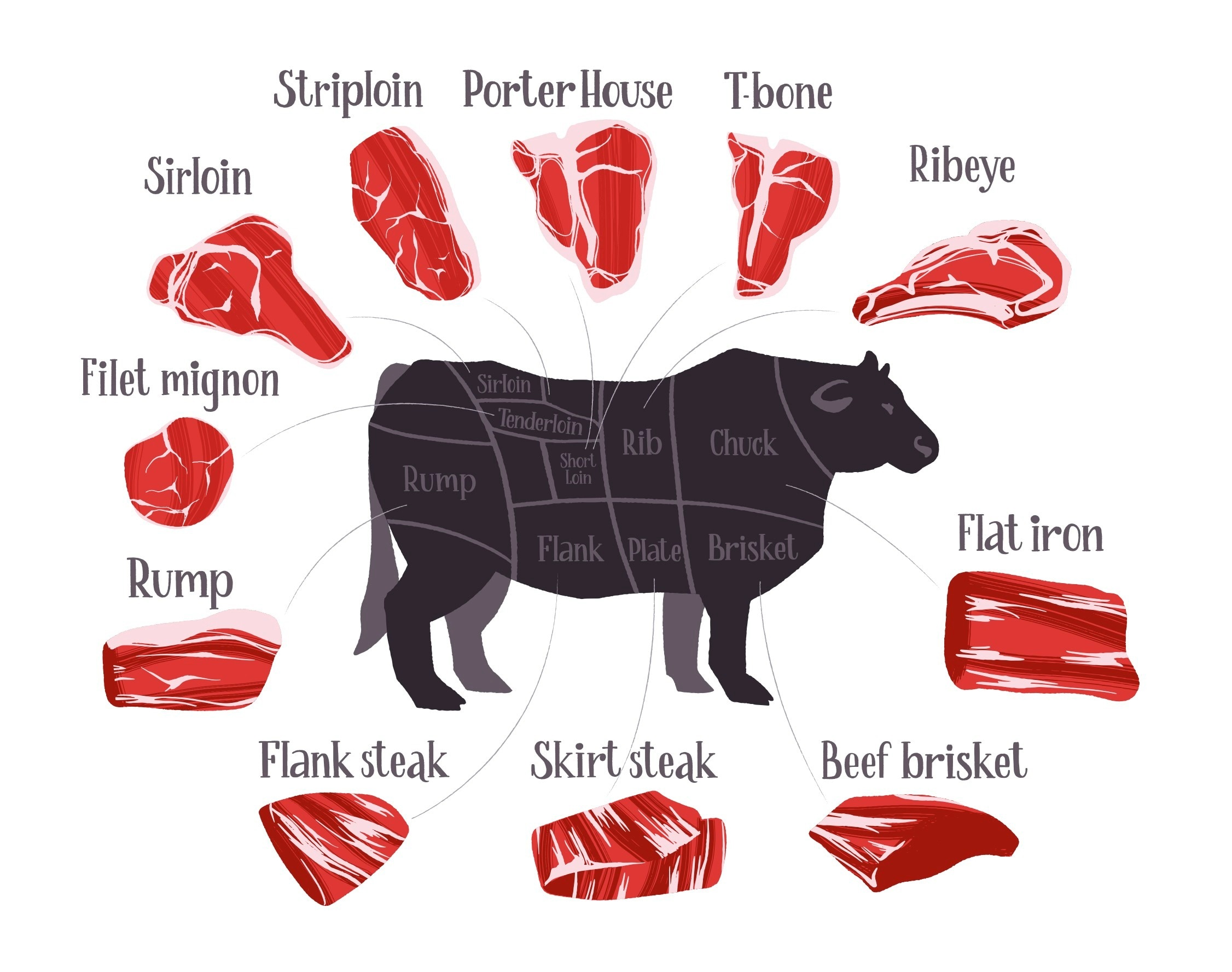 Angus Beef Chart Poster The Best Beef Cut Charts Posters, 52% OFF