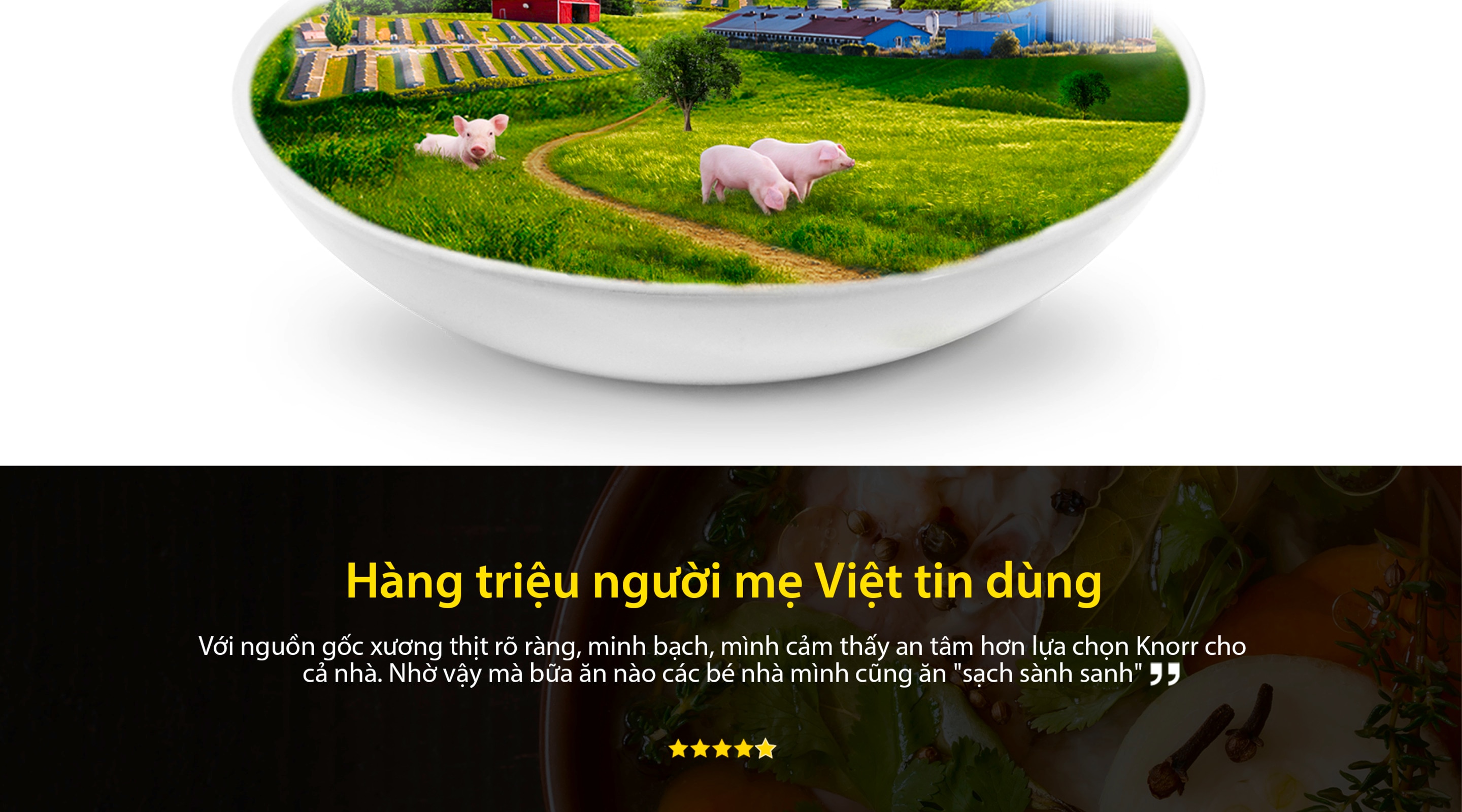 Nong Trai Heo Sach Chuan Vietgap