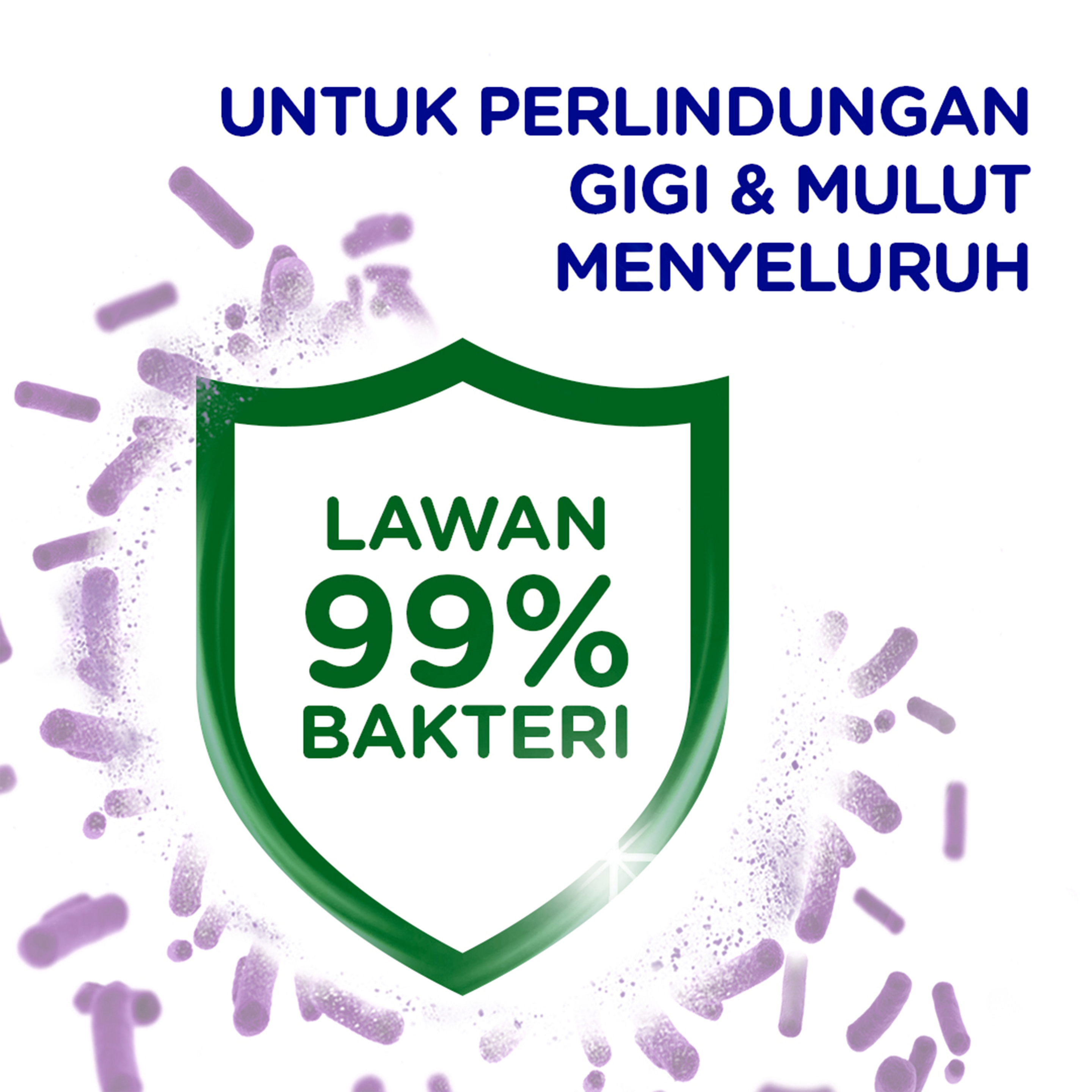 Pasta Gigi Siwak Habbatusauda