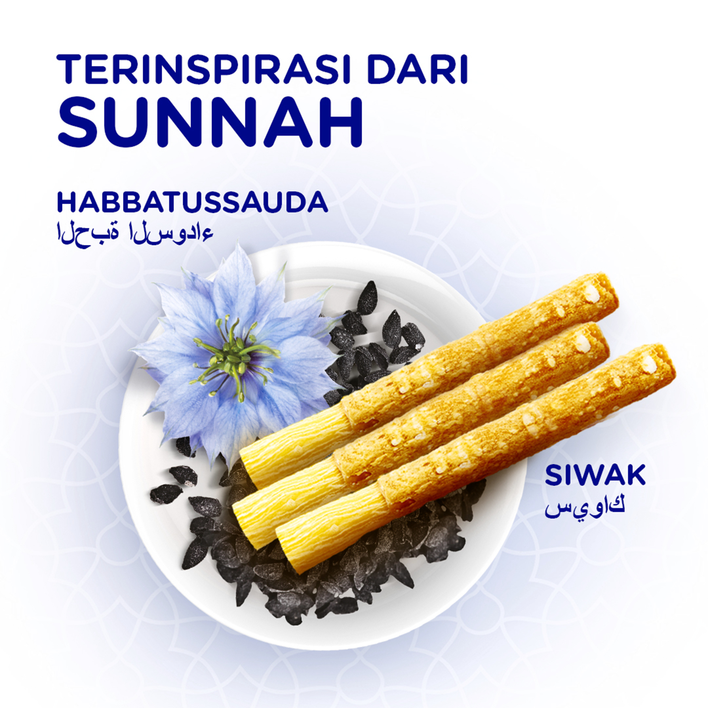 Pasta Gigi Siwak Habbatusauda