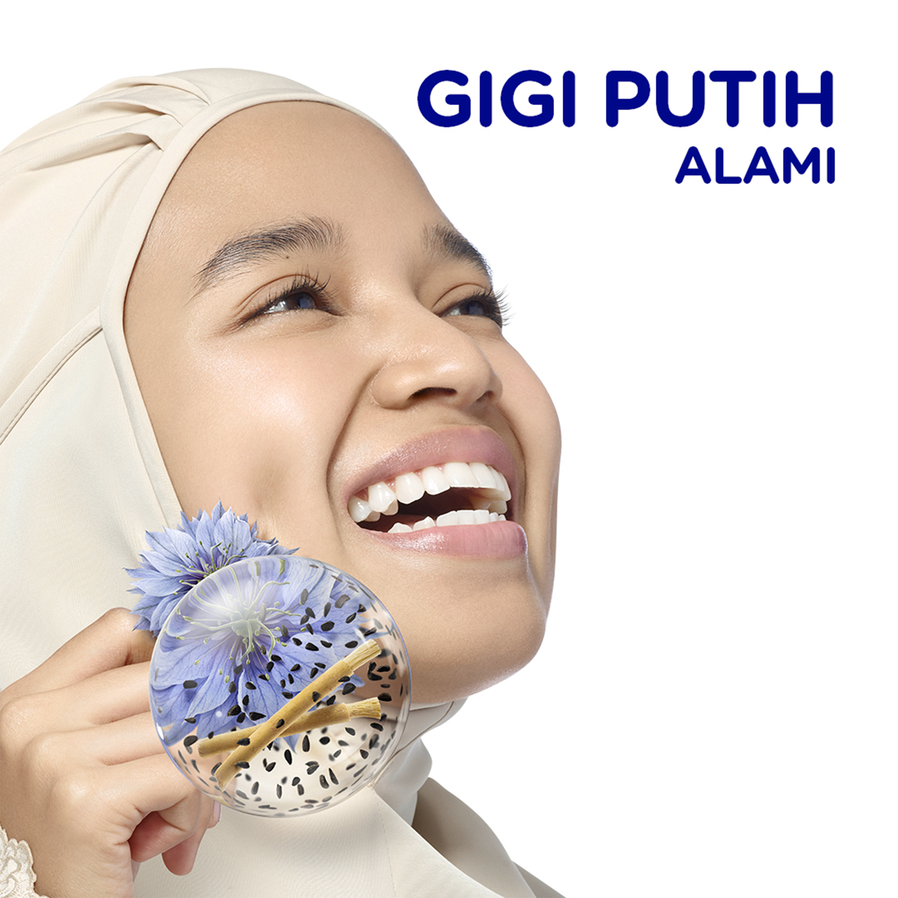 Pasta Gigi Siwak Habbatusauda