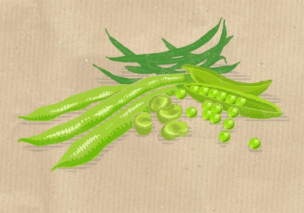 peas and beans