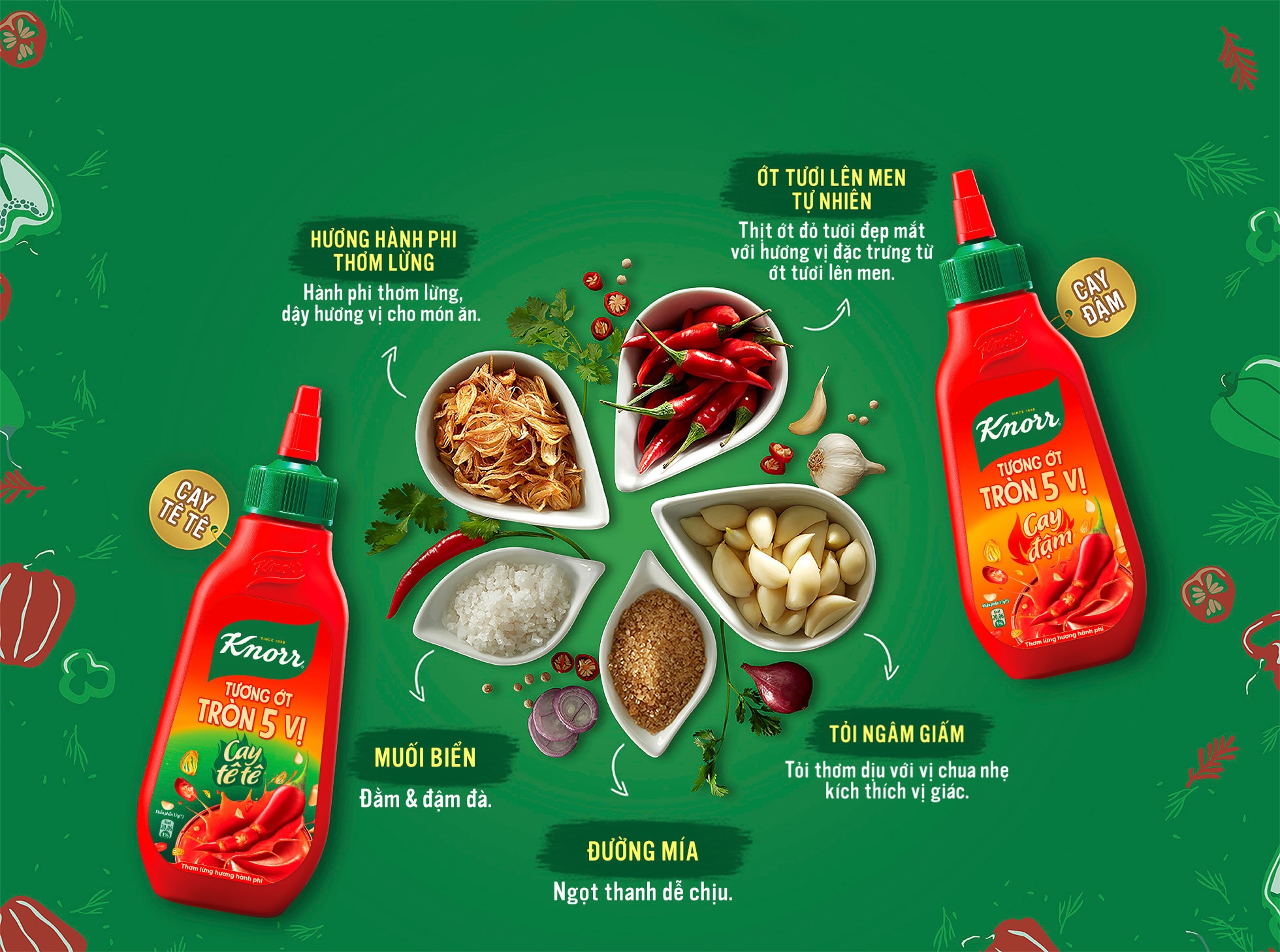 knorr ti le vang 5 vi moi