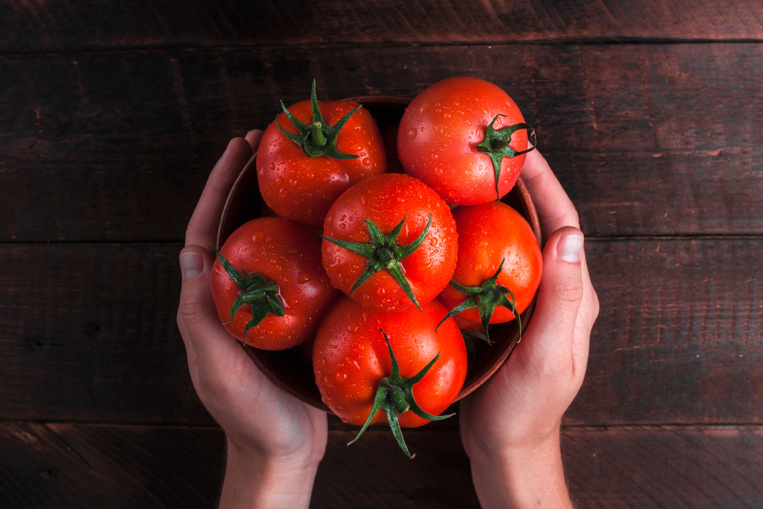Tomaten in zwei Händen gehalten