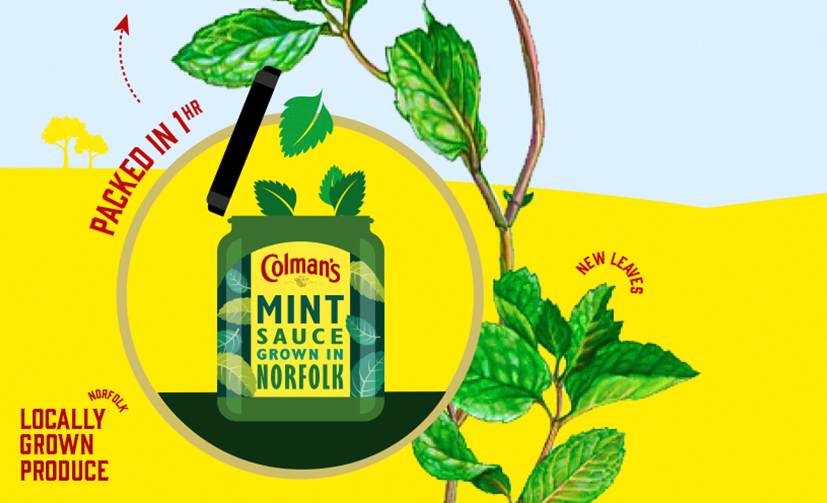 Packets of Colman's seasoning sachets with copy 'Take our quiz to find your perfect recipe' overlaid