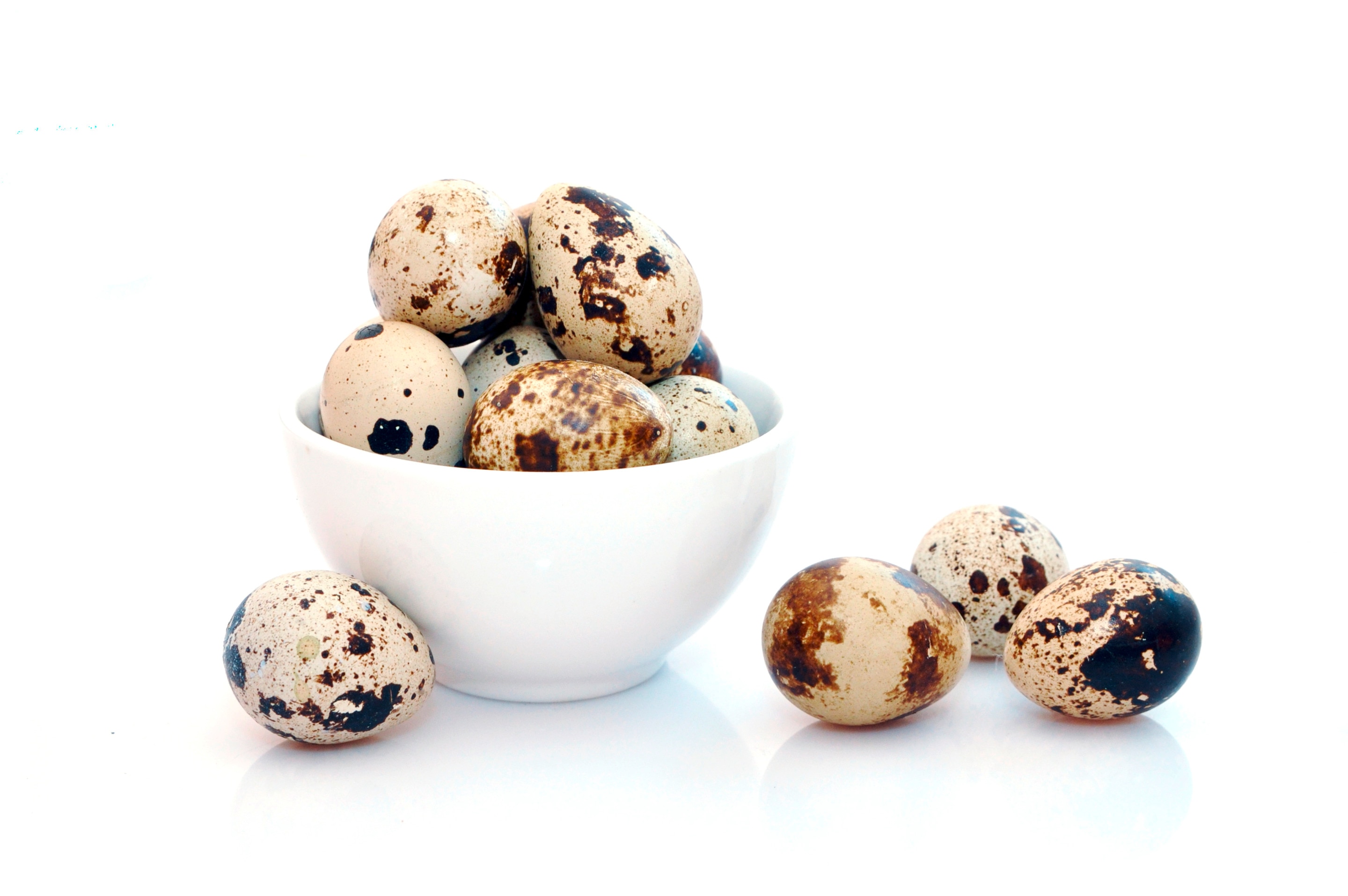 Quail eggs piled into a white bowl with quail eggs surrounding it