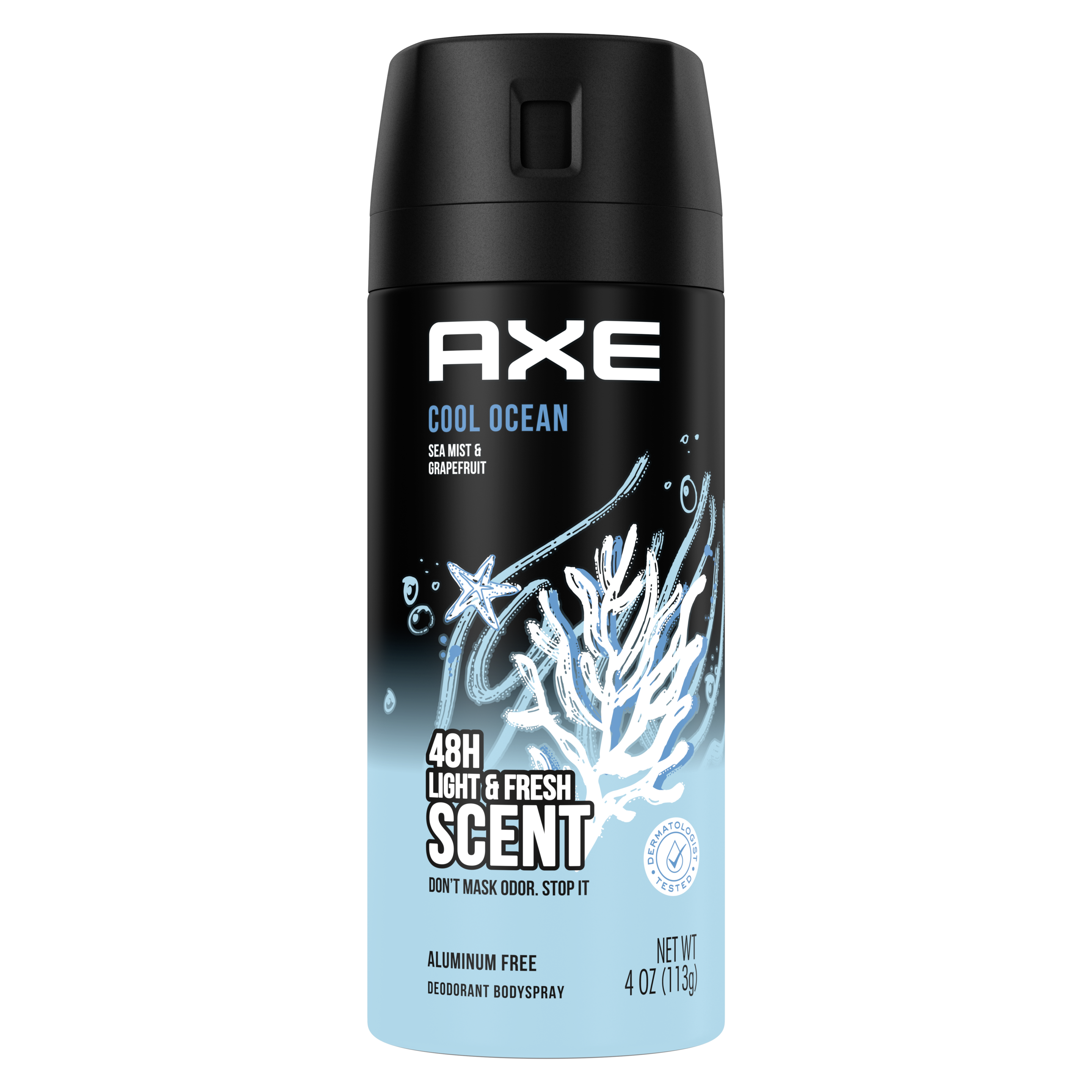 ideologi falskhed Afgørelse Cool Ocean Deodorant Body Spray with Essential Oils | Axe