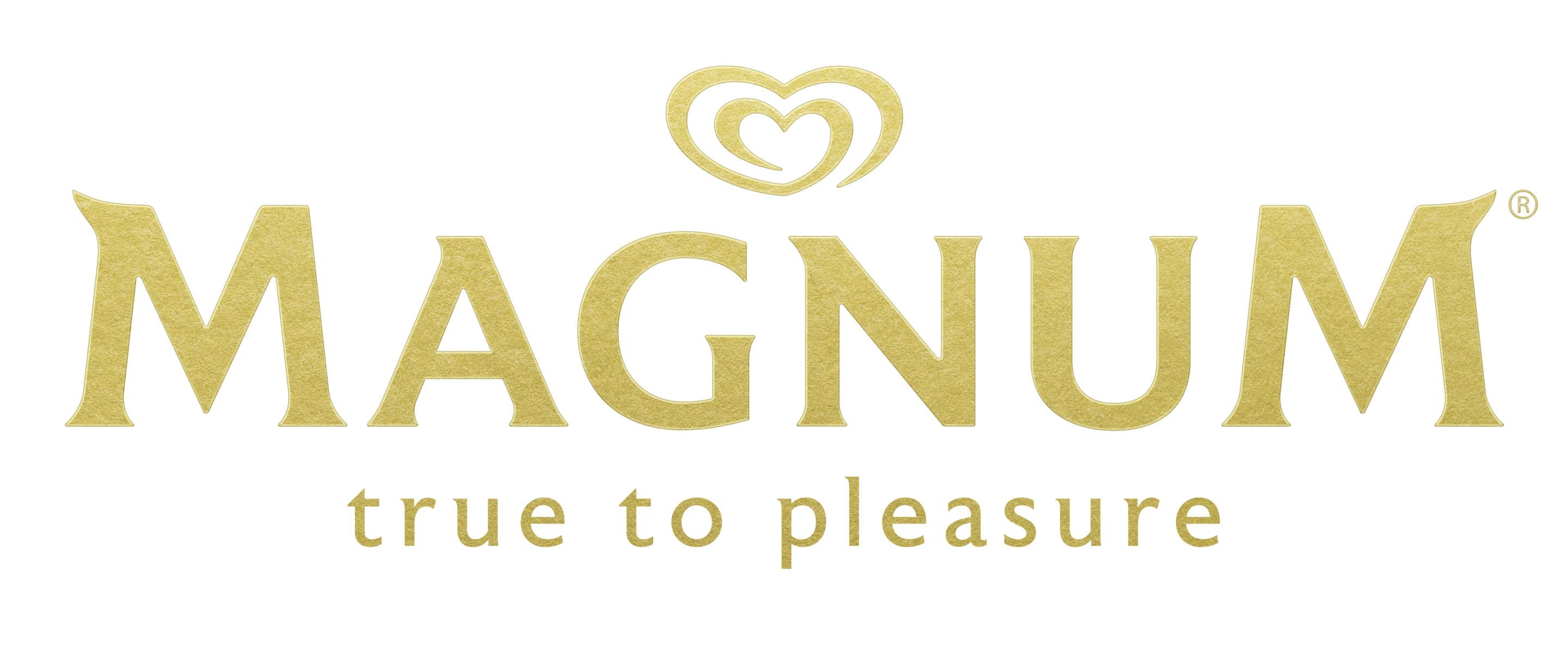 Brand logo with link to home page Magnum za