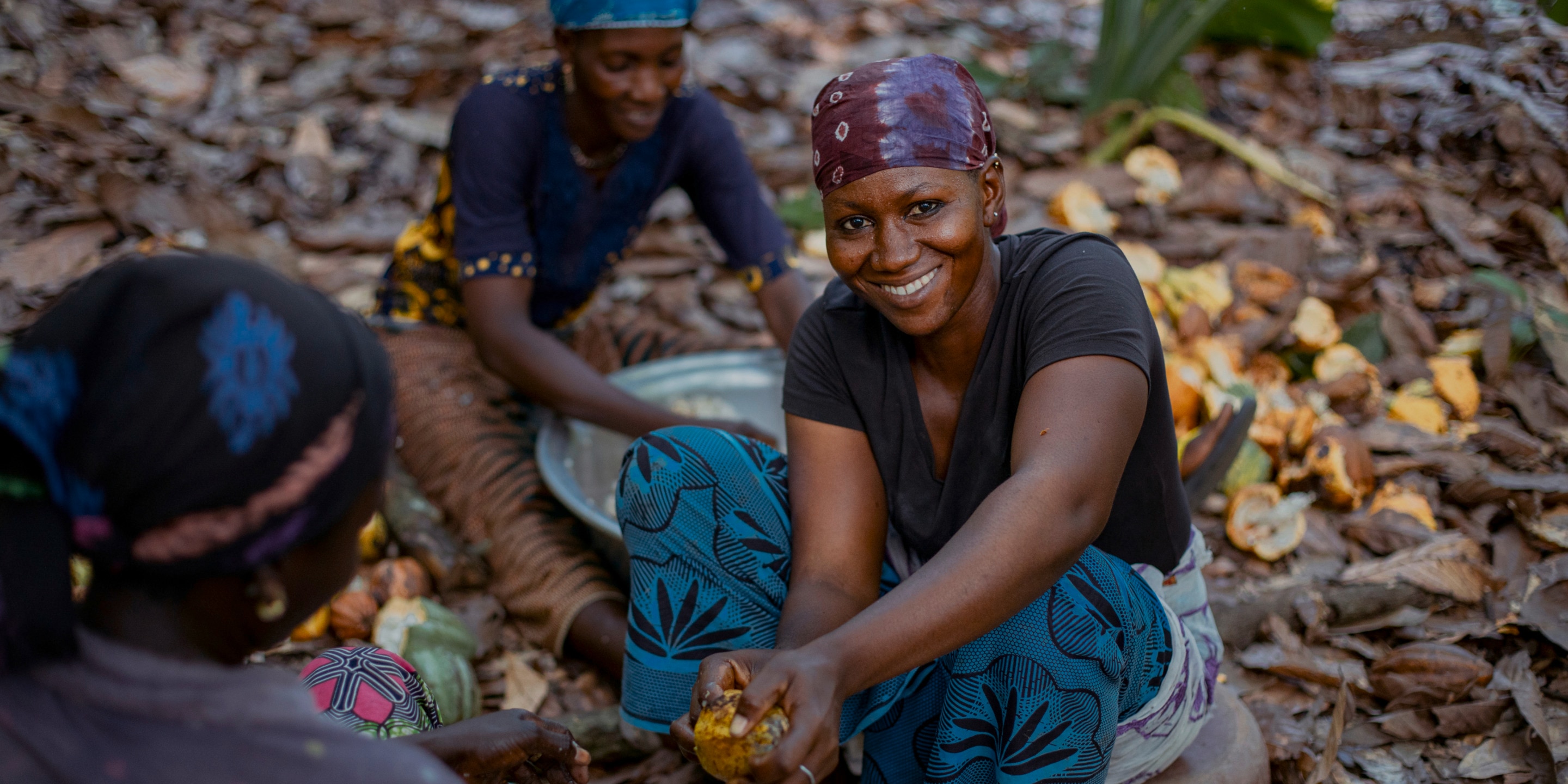 Group of Smiling women from the cocoa farming community sitting down in a plantation