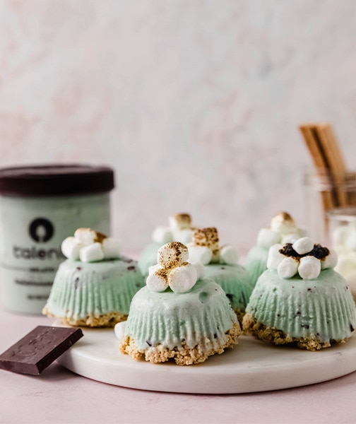 Mini Frozen Smores Pie Recipe