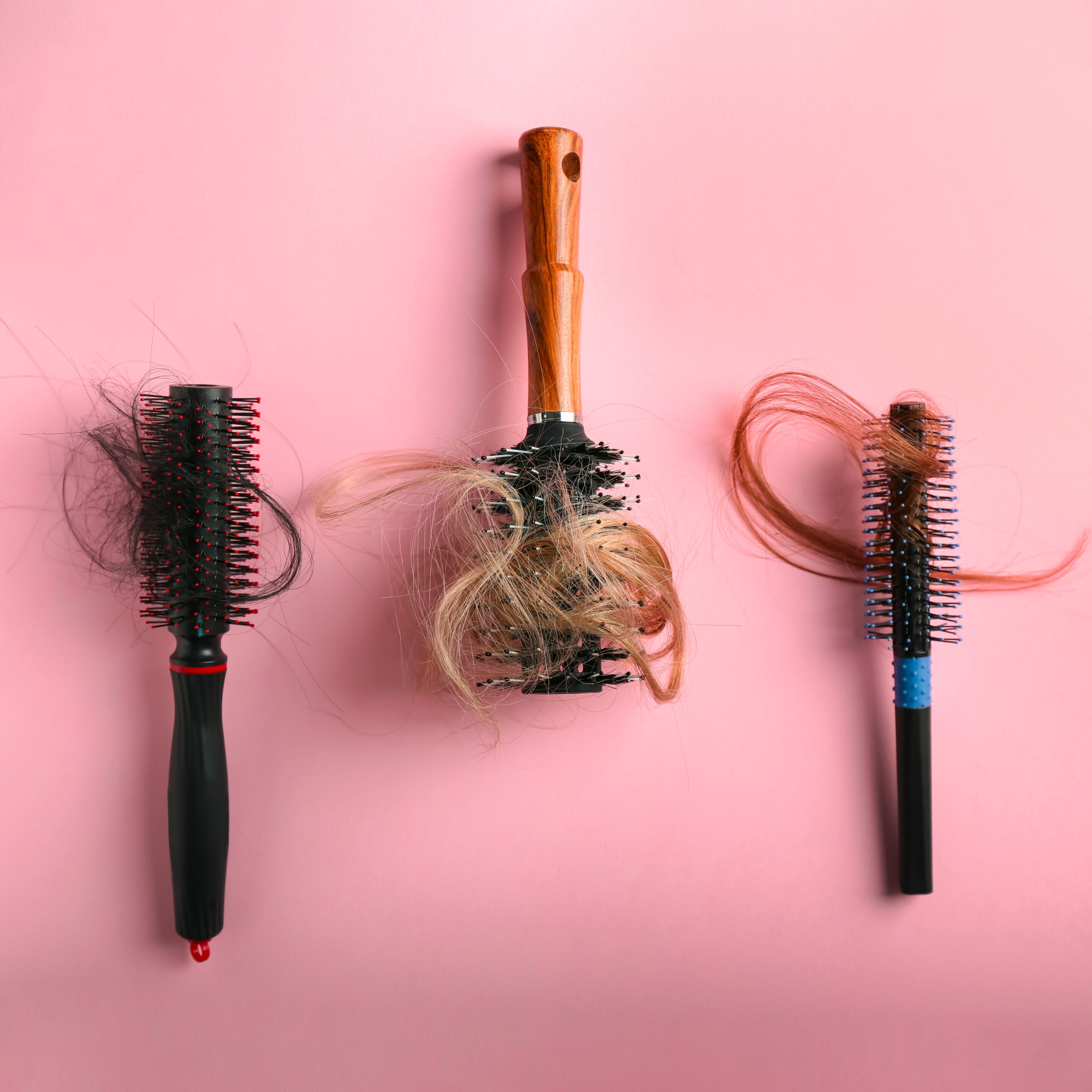 Brushes with hair