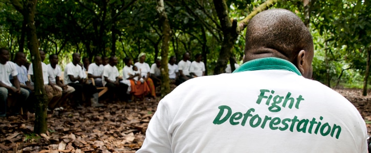 Menschen sitzen in einem Kreis und ein Mann im Vordergrund hat ein "Fight Deforestation" Tshirt an.