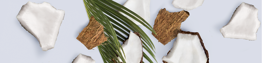 aufgeschnitzte Kokosnuss und Farn liegen auf weißem Hintergrund