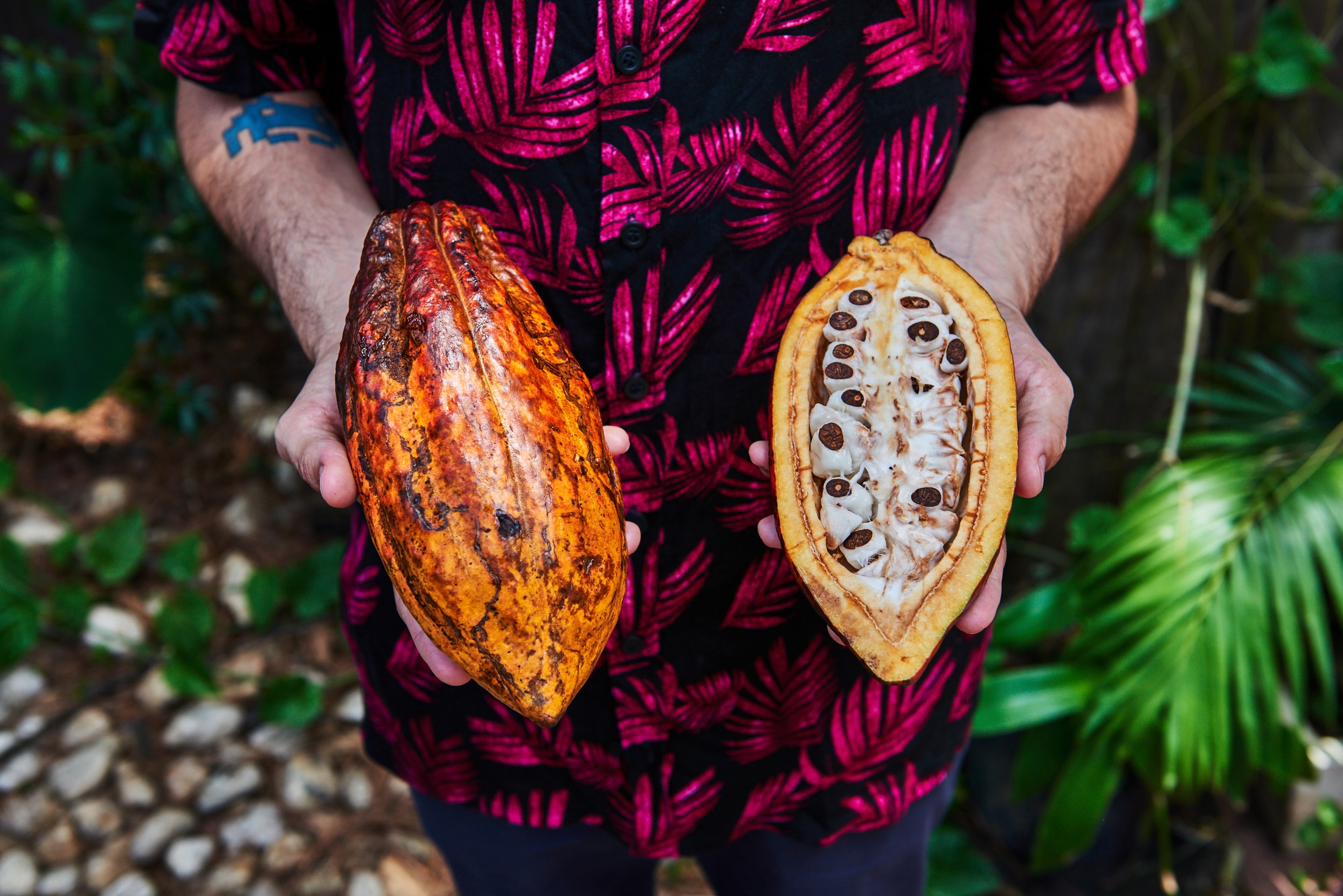 8 Benefícios do cacau para sua saúde