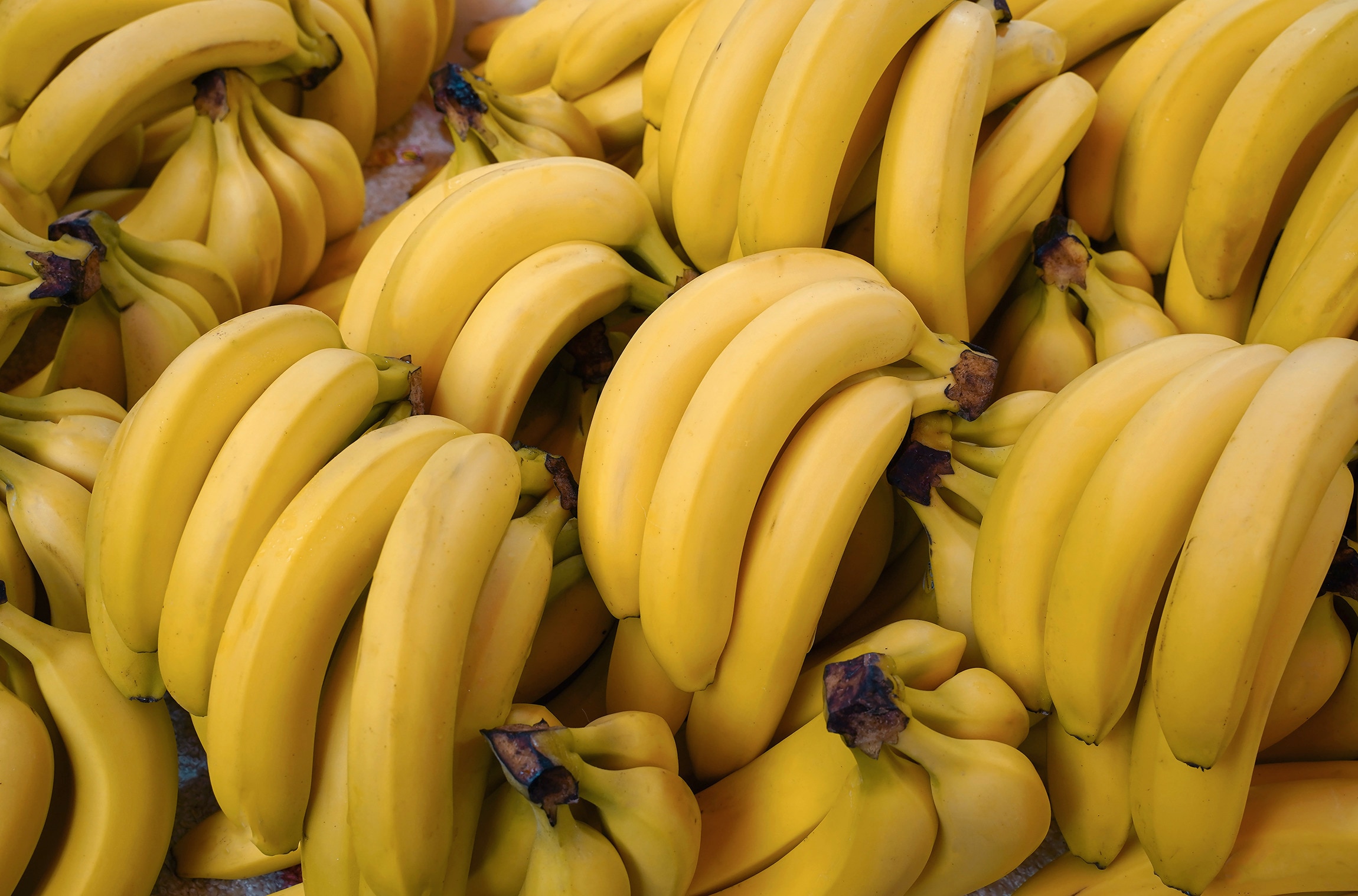 Fresh ripe bananas in a market stall